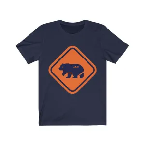 BEWARE OF BEAR