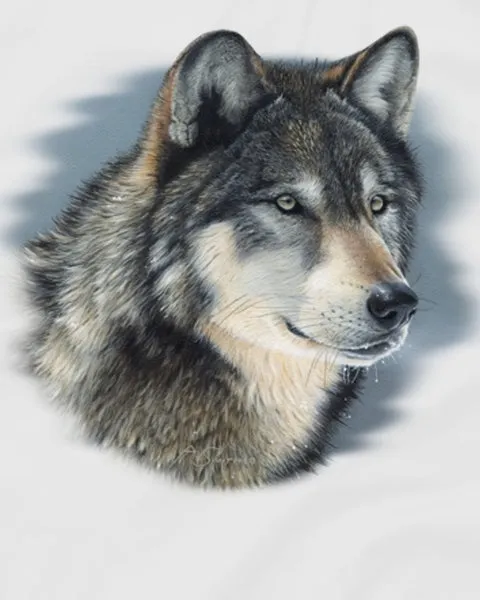Cold Stare Wolf T-Shirt