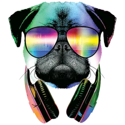 DJ PUG - T Shirt