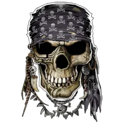 Pirate Skull T-Shirt