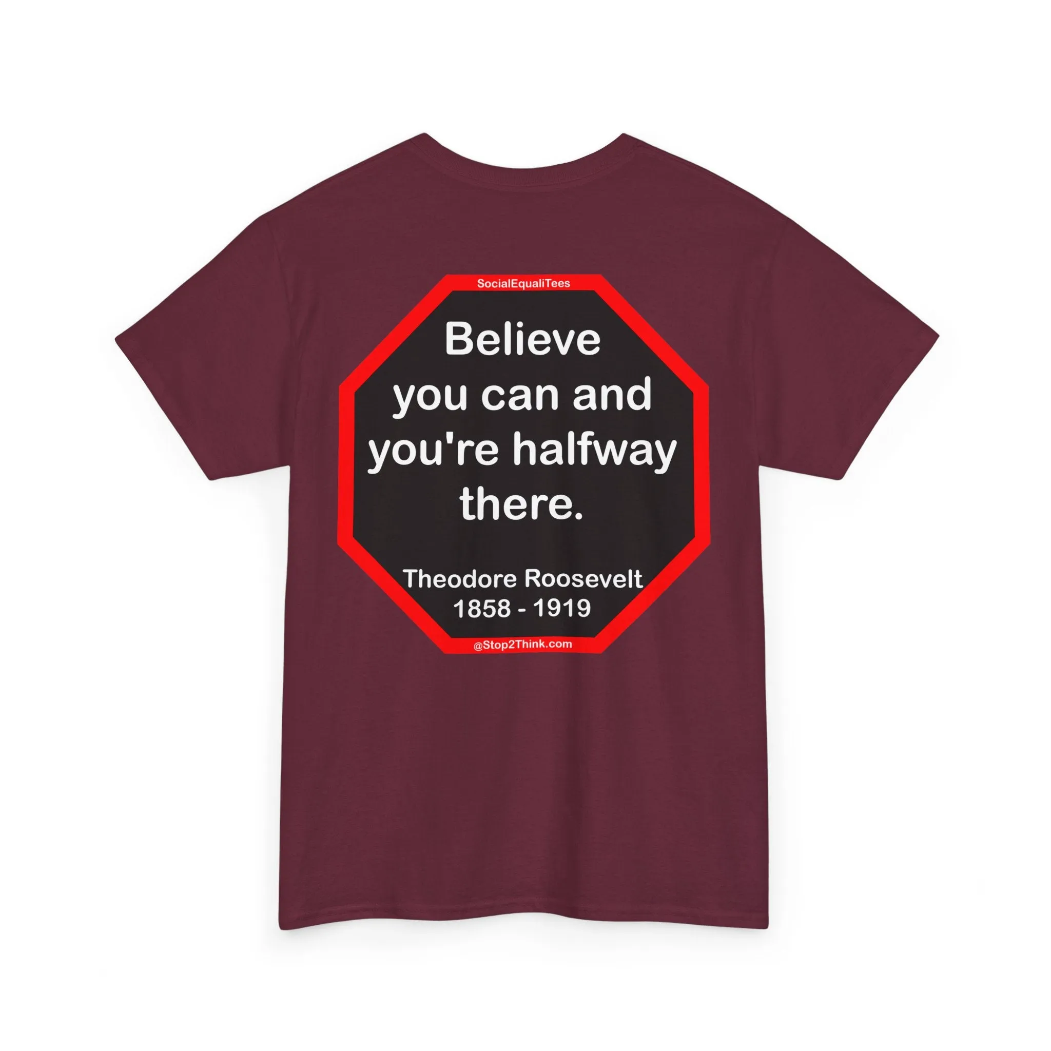 S2T- Believe you can and you're halfway there.  -  Theodore Roosevelt  1858 - 1919