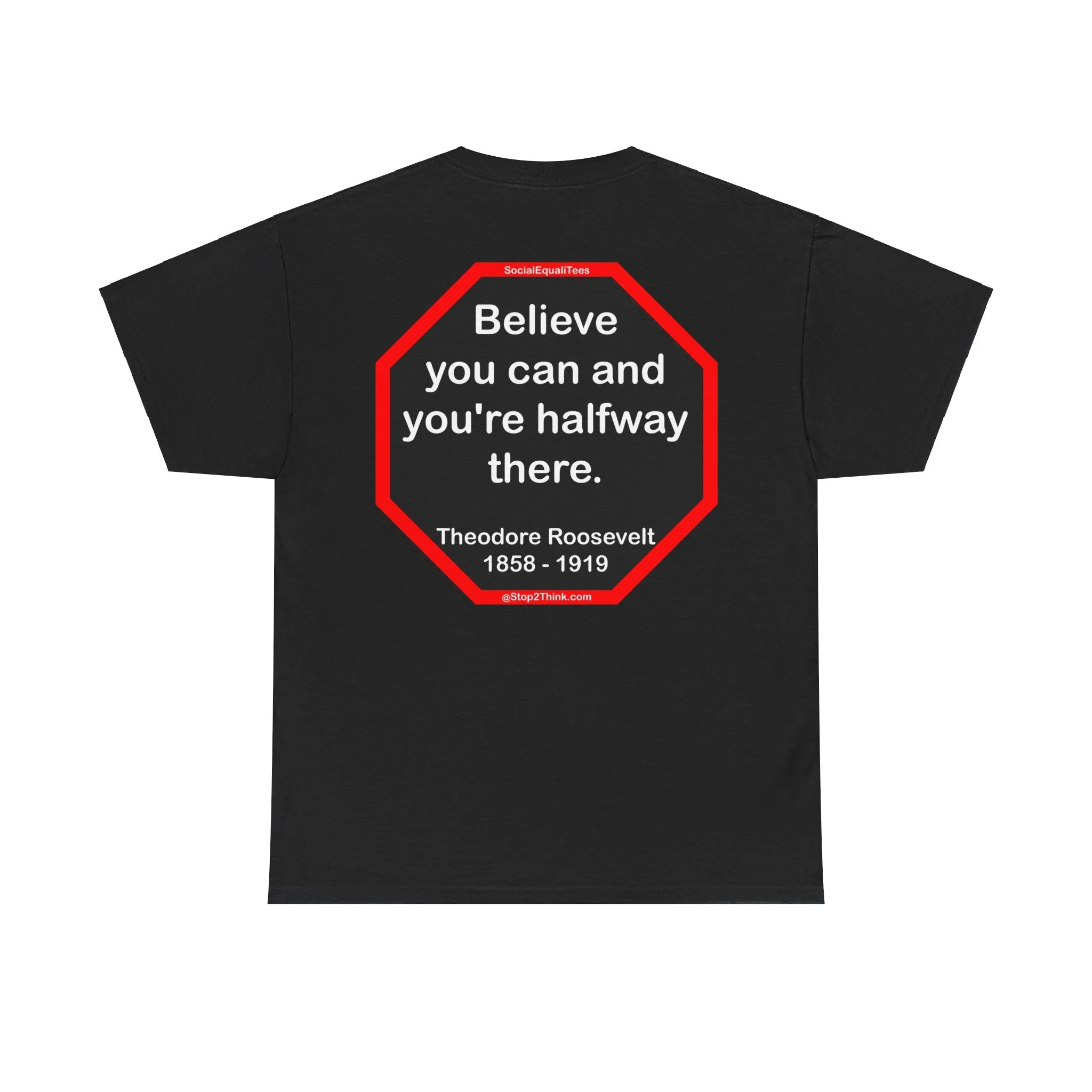 S2T- Believe you can and you're halfway there.  -  Theodore Roosevelt  1858 - 1919