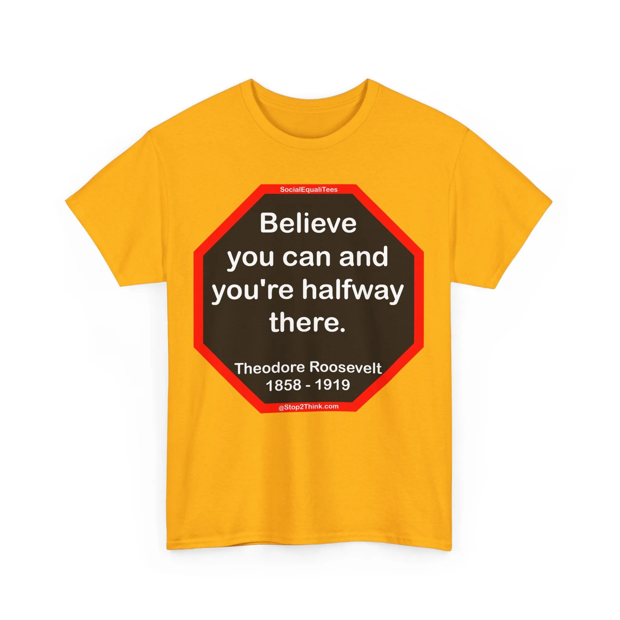 S2T- Believe you can and you're halfway there.  -  Theodore Roosevelt  1858 - 1919
