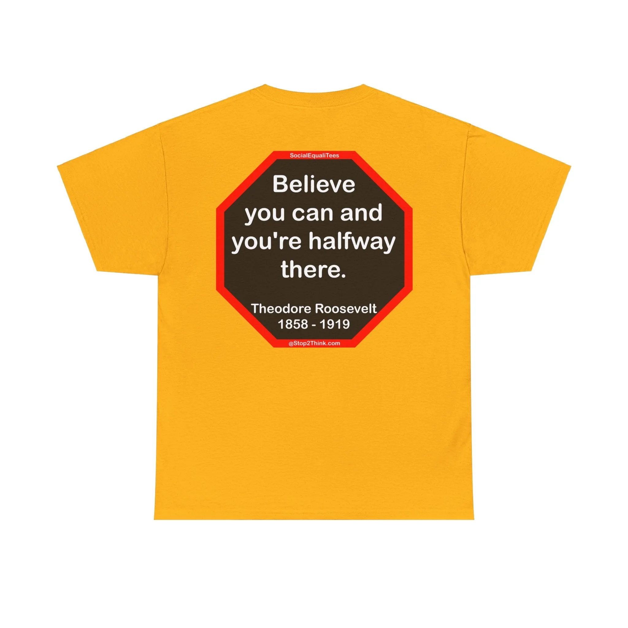 S2T- Believe you can and you're halfway there.  -  Theodore Roosevelt  1858 - 1919