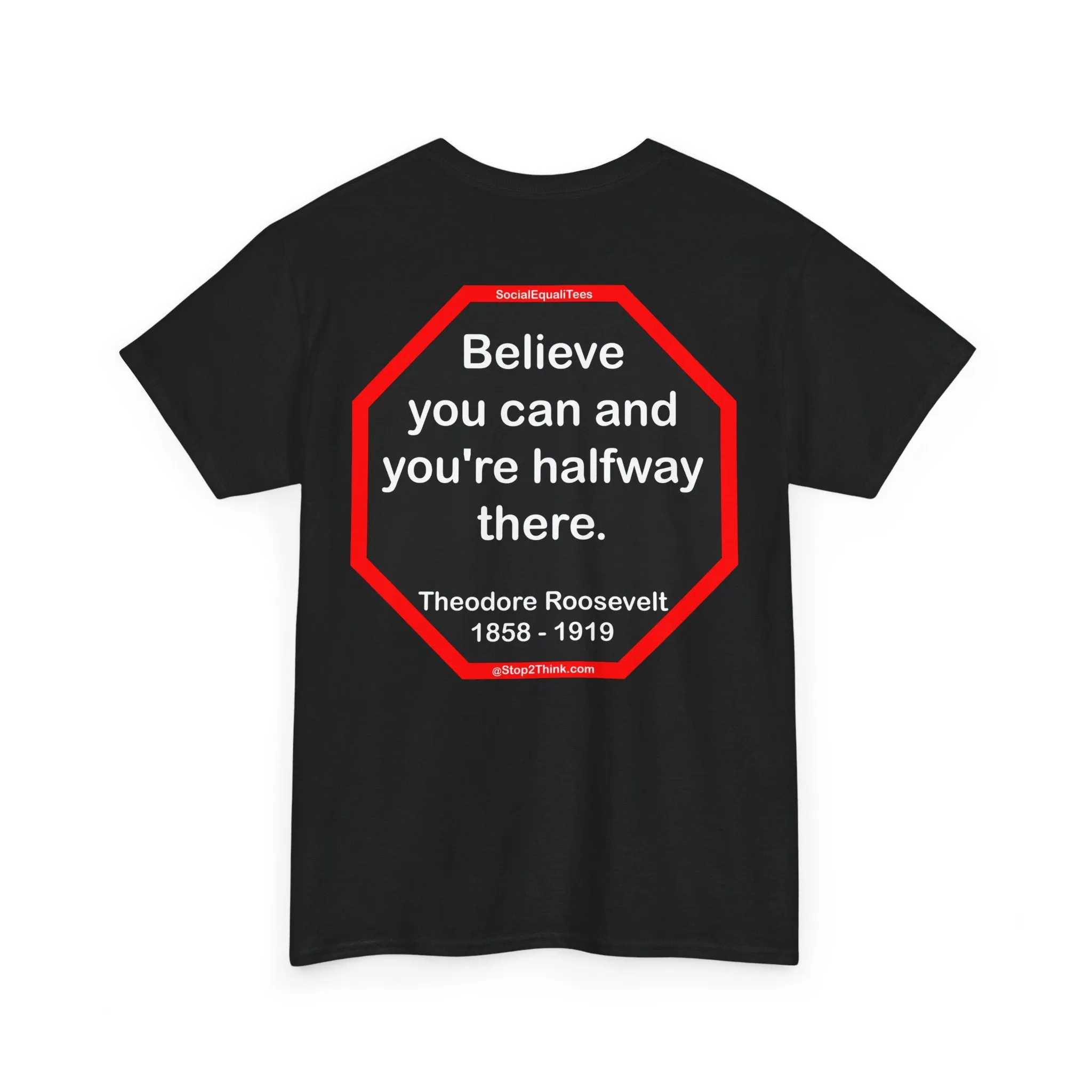 S2T- Believe you can and you're halfway there.  -  Theodore Roosevelt  1858 - 1919