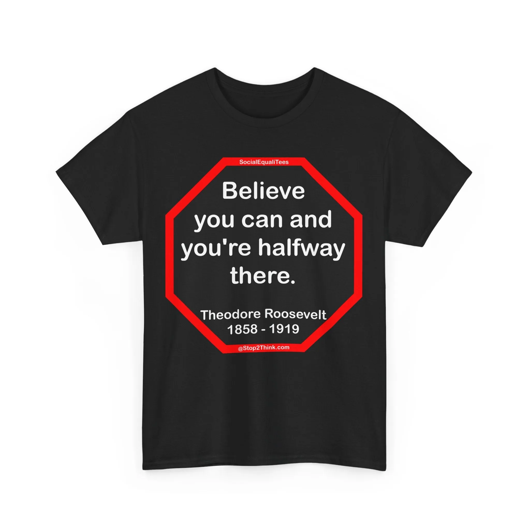 S2T- Believe you can and you're halfway there.  -  Theodore Roosevelt  1858 - 1919