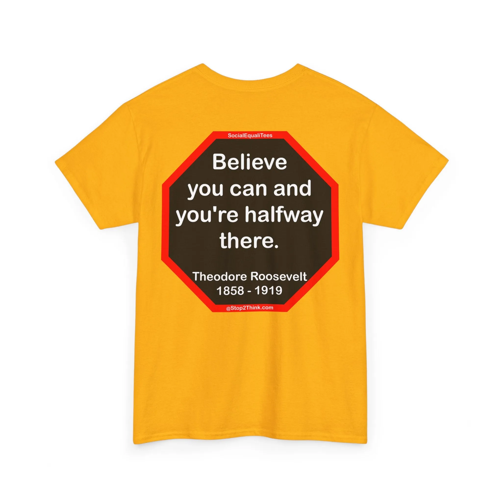 S2T- Believe you can and you're halfway there.  -  Theodore Roosevelt  1858 - 1919