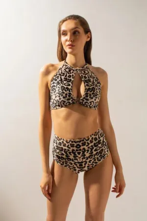 Shark Polewear Cherry Top - Leopard