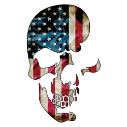 Skull Americana T-Shirt