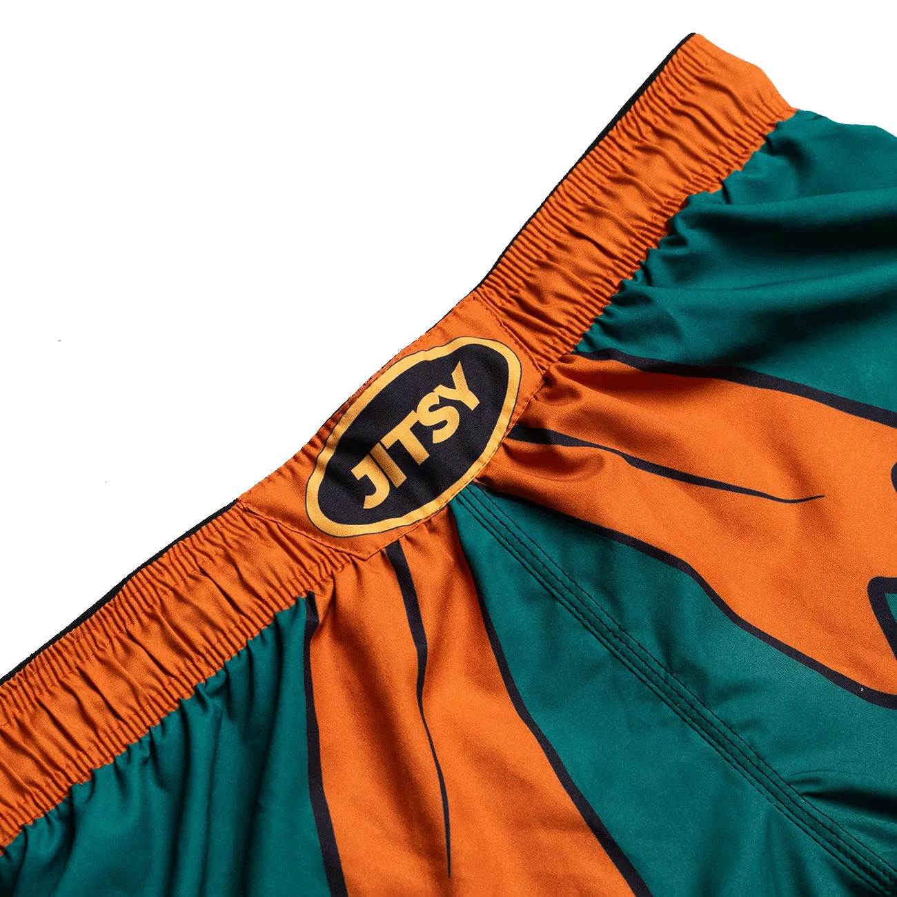 Team Turtles MMA Shorts- Youth