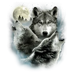 Three Wolves T-Shirt