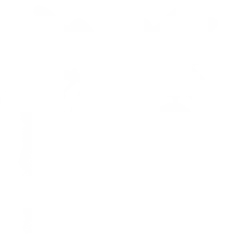 Wolf Moon Silhouette- T-Shirt
